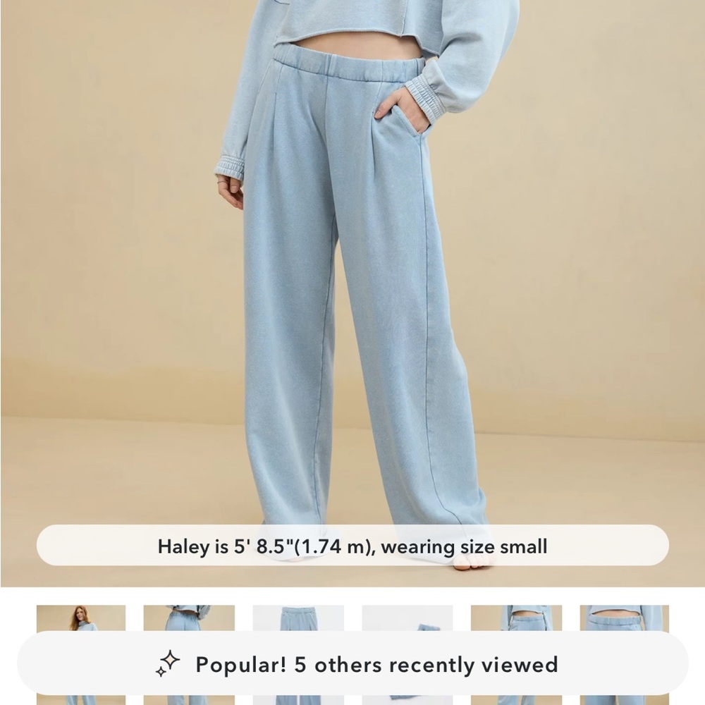 Aerie Trouser Sweatpants in cloud wash